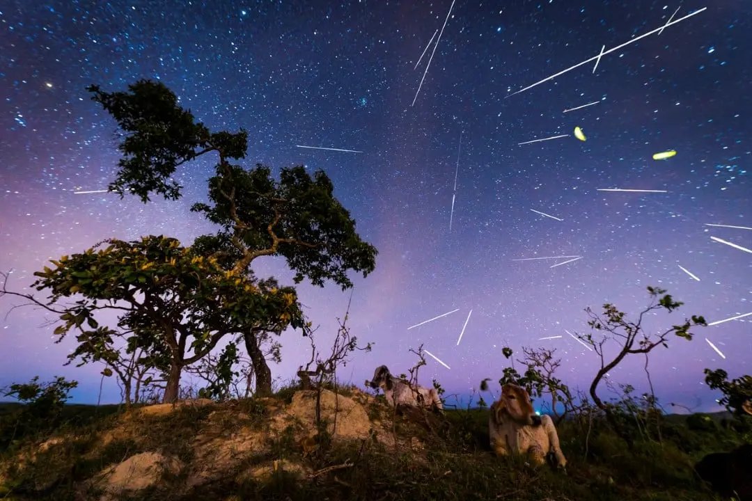 Chuva de meteoros