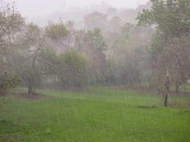Chuvas fortes, dia de chuva