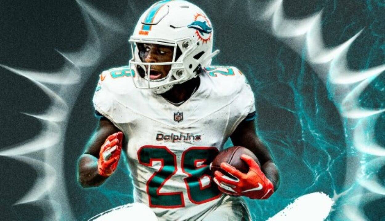 Dolphins