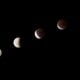 Fases lunares