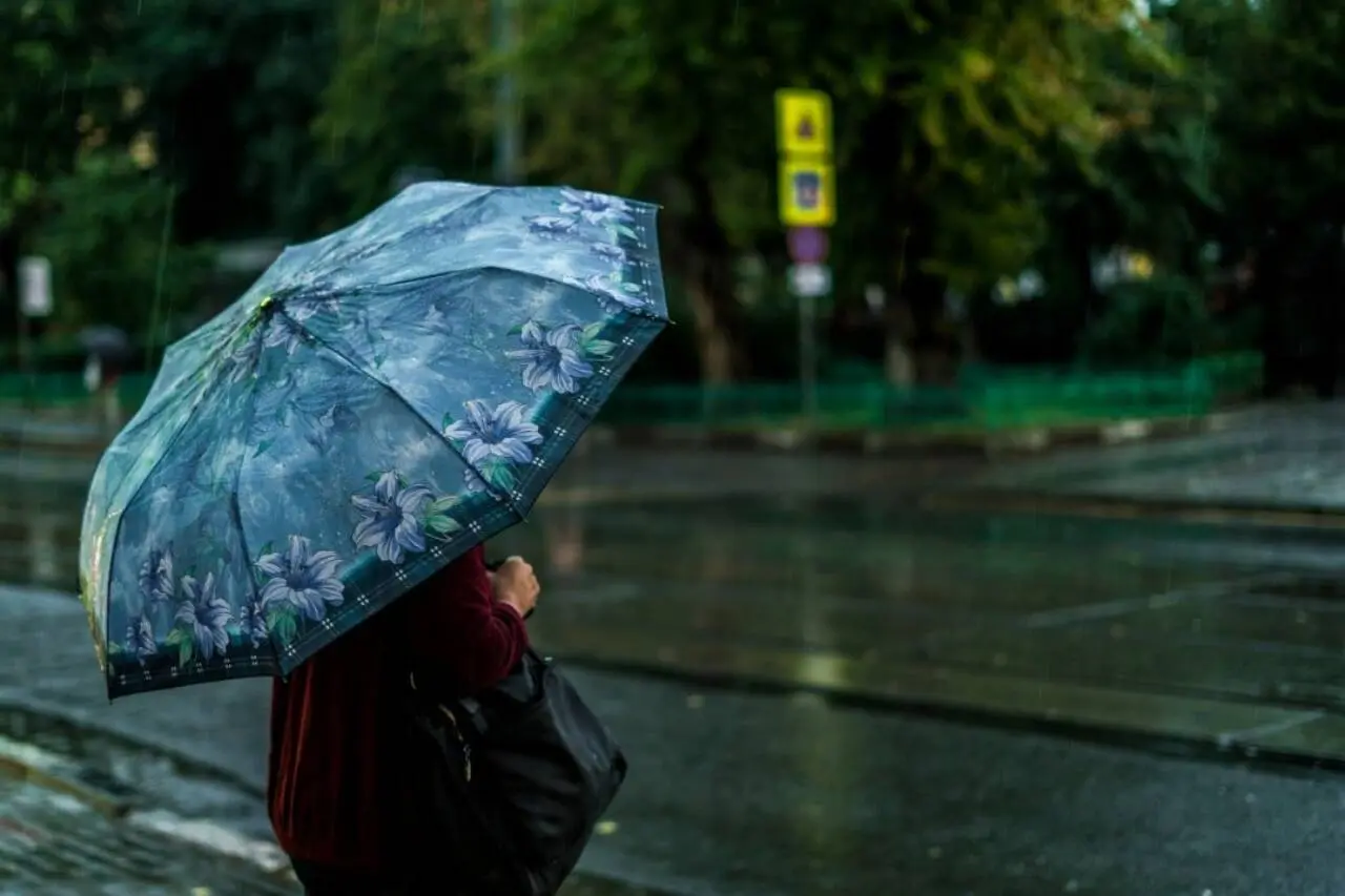 Guarda-Chuva Chuva Frio