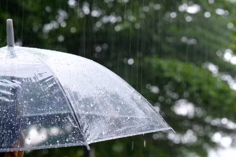 Guarda-chuva, tempo chuva