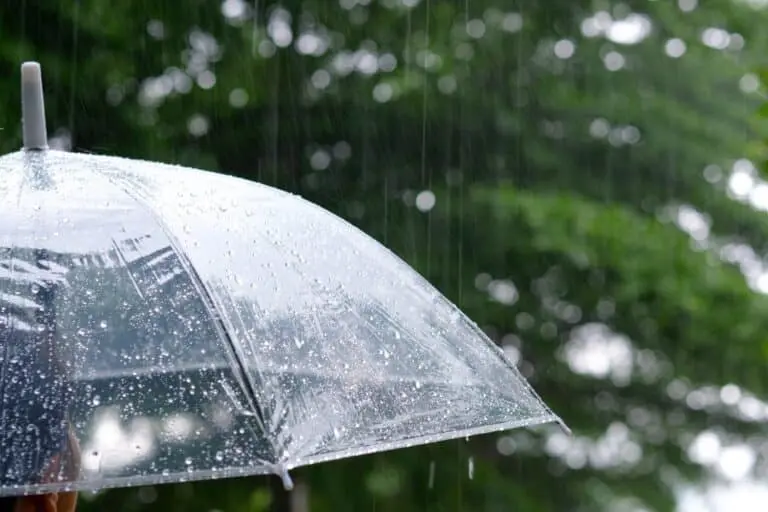 Guarda-chuva, tempo chuva