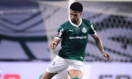 Murilo Palmeiras