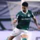 Murilo Palmeiras