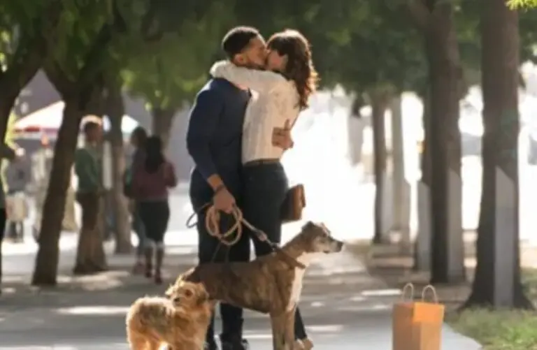 Nossa Vida com Cães - Sessao da tarde