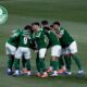 Palmeiras