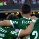 Palmeiras lider