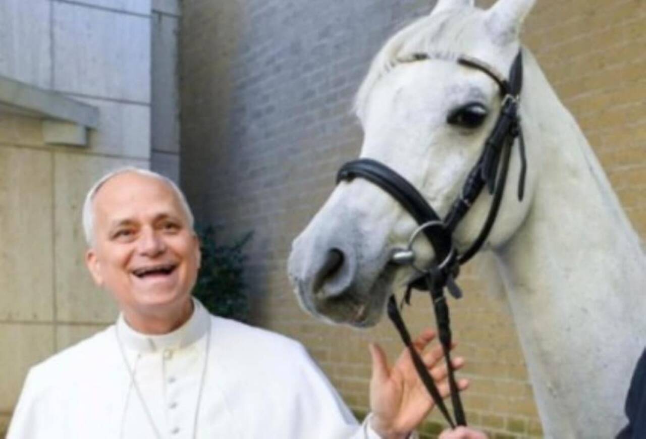Papa Leão XIV é presenteado com cavalo