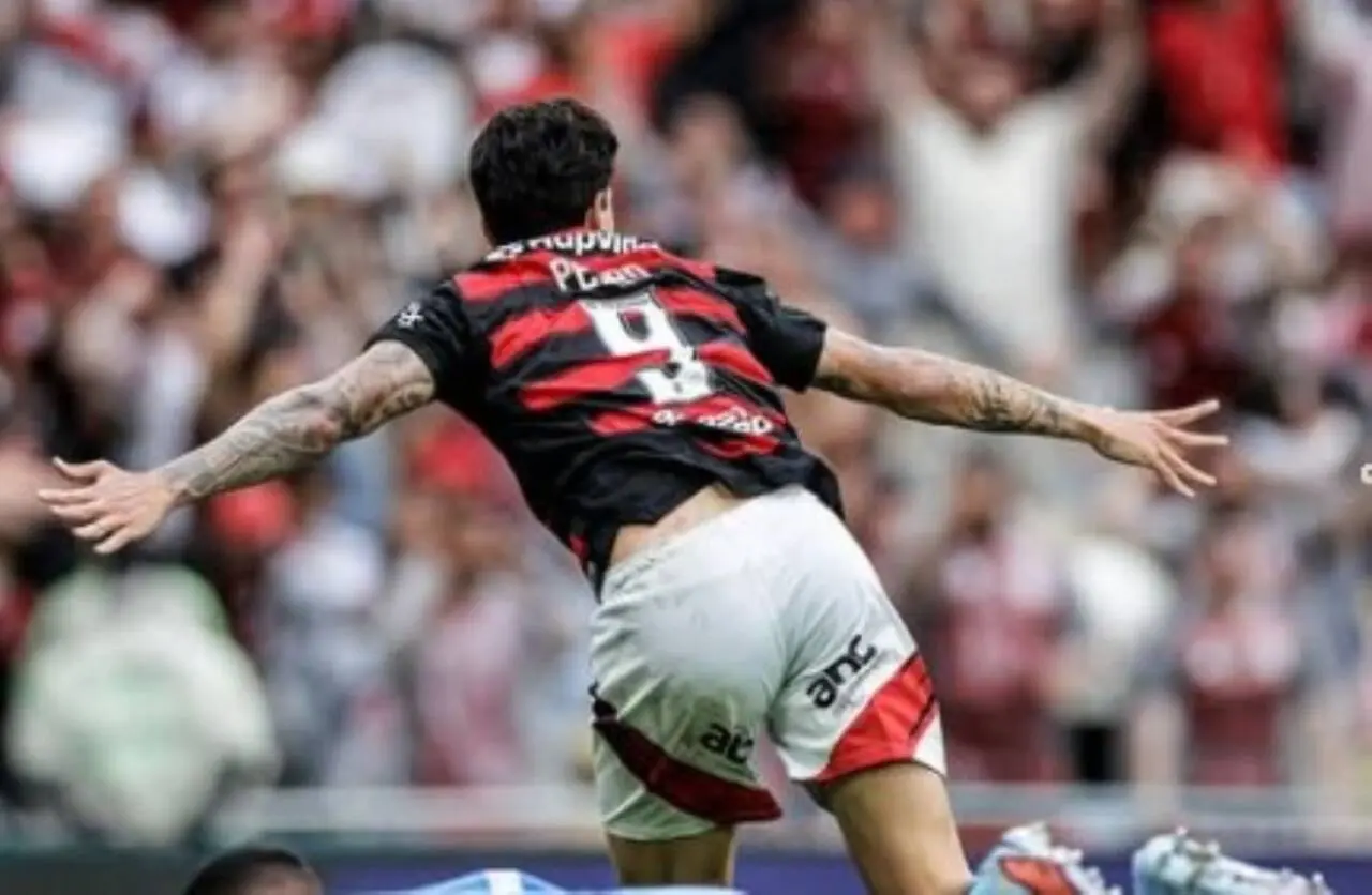 Pedro Flamengo