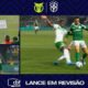 Penalti palmeiras VAR