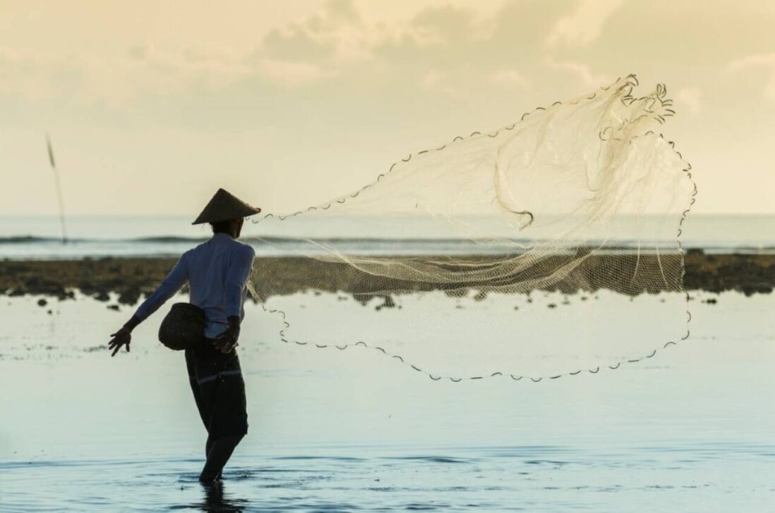 Pescador, Seguro Defeso
