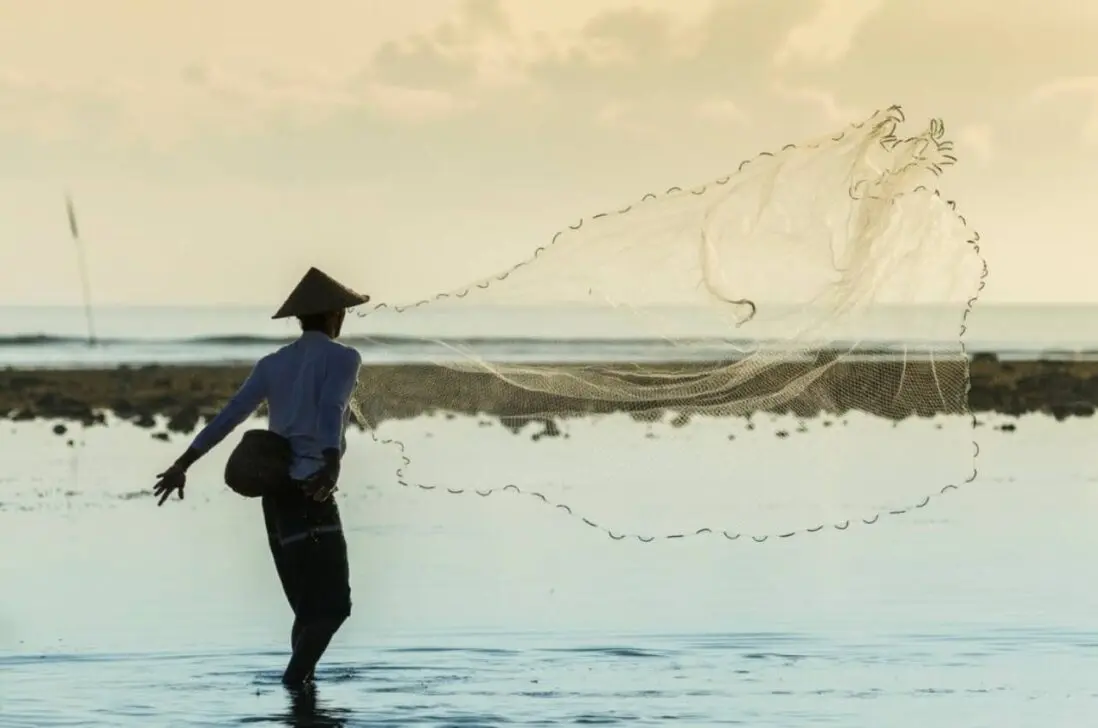 Pescador, Seguro Defeso