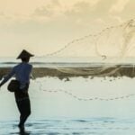 Pescador, Seguro Defeso