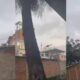 Polícia Civil prende 12 em operação contra avanço do CV para Petrópolis e Maré no RJ