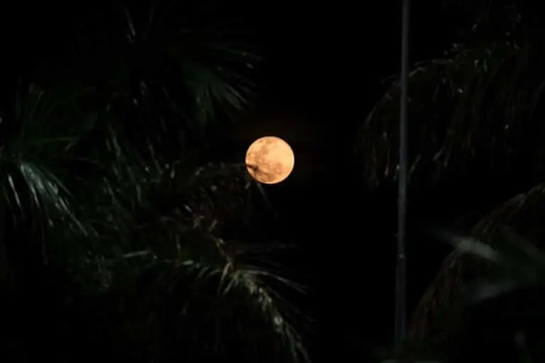 Superlua do caçador, Lua cheia do caçador