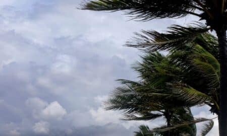 Tempestade tropical, ventania, furacão