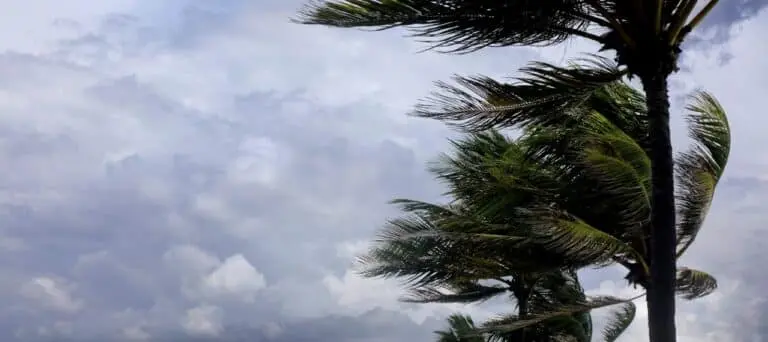 Tempestade tropical, ventania, furacão