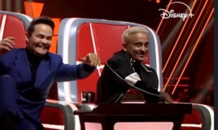 The voice brasl