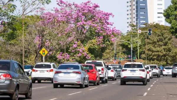 Trânsito, Licenciamento