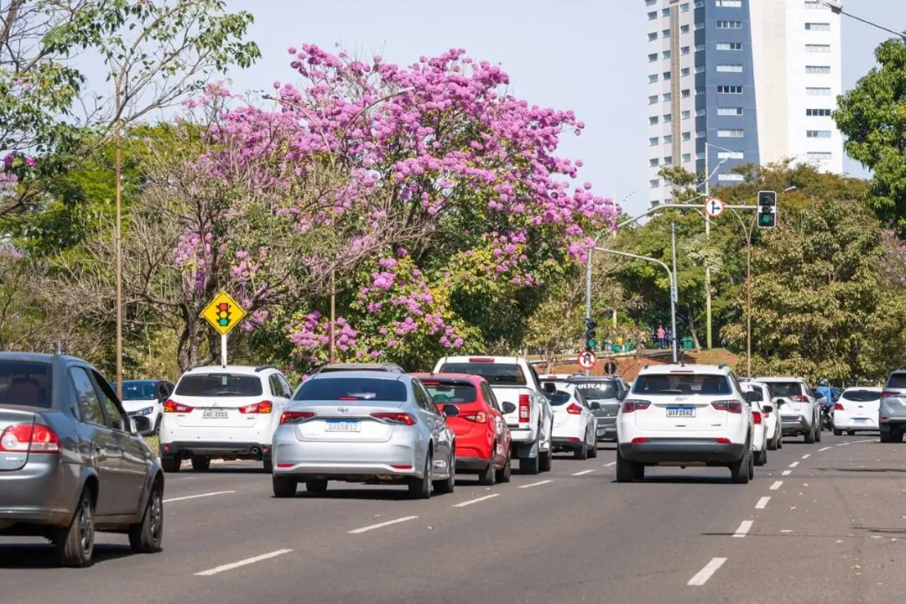 Trânsito, Licenciamento