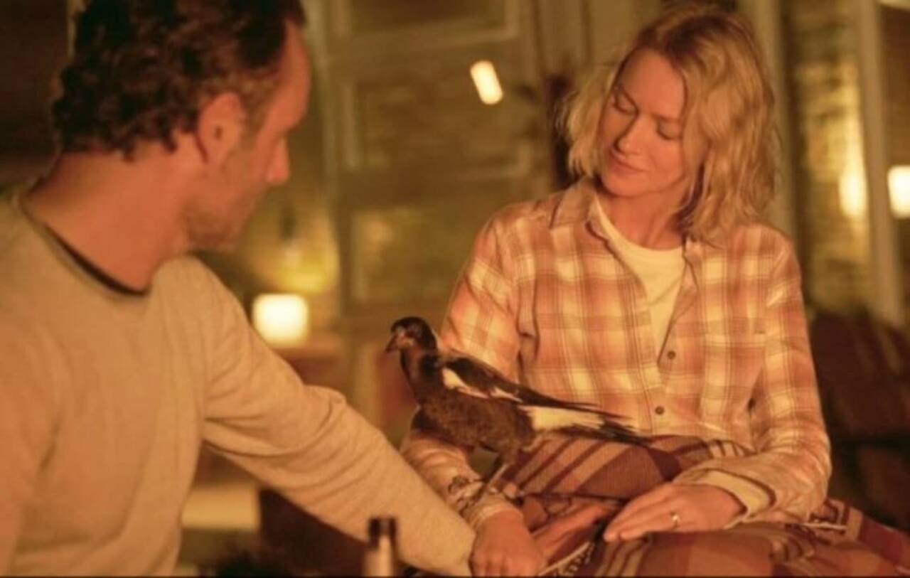 Sessão da Tarde hoje (22/10): veja o filme desta quarta-feira na TV Globo