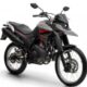 Yamaha Lander 250