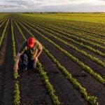 Agricultura, produtor rural