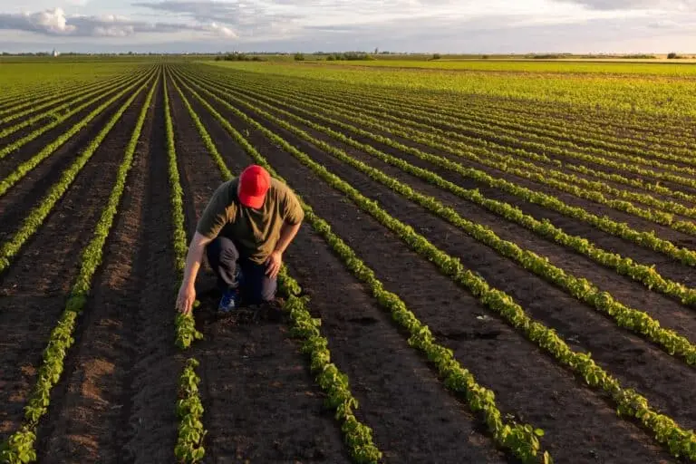 Agricultura, produtor rural