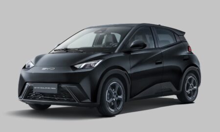 BYD Dolphin Mini