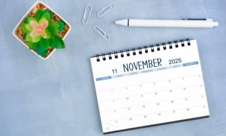 Calendário novembro 2025