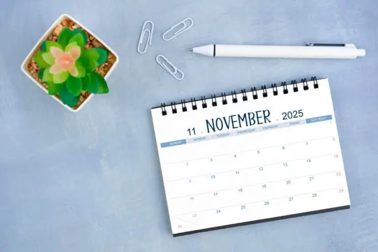 Calendário novembro 2025