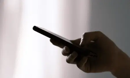 Celular