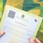 Certidão de Nascimento - Jeniffer Fontani/Stock