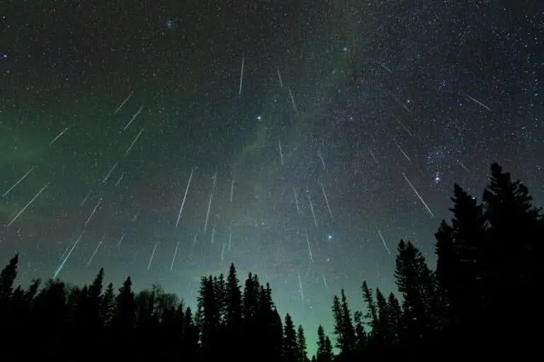 Chuva Leônidas, meteoros