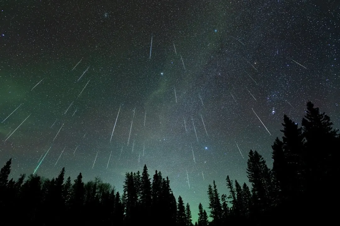 Chuva Leônidas, meteors
