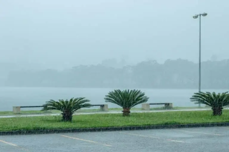 Chuva, tempo nublado
