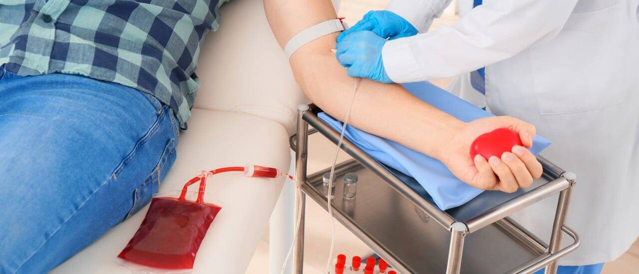 Doador de sangue, exames
