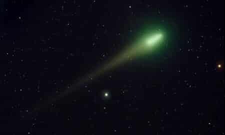 Fênix verde cometa C2025