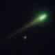Fênix verde cometa C2025