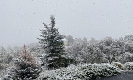 Frio, Neve