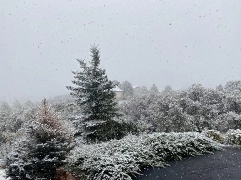 Frio, Neve