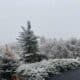 Frio, Neve
