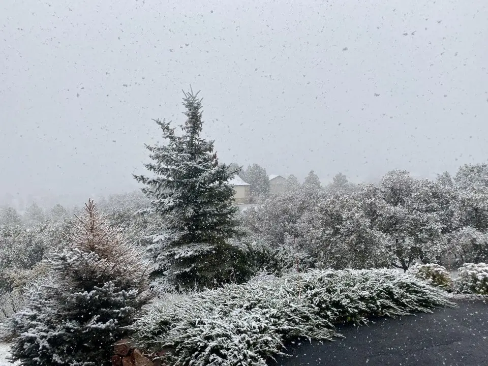 Frio, Neve
