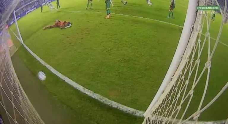 Gol do santos 1