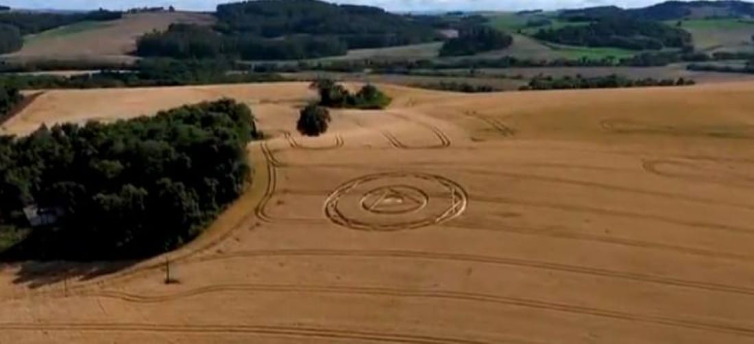 Image dans une plantation