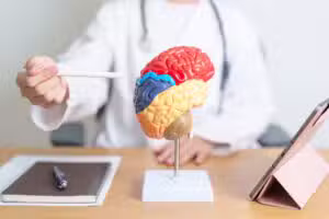 Cérebro mantém influência de informações falsas sobre saúde, revela ciência cognitiva