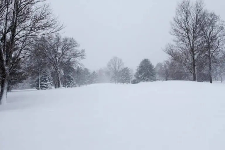 Neve