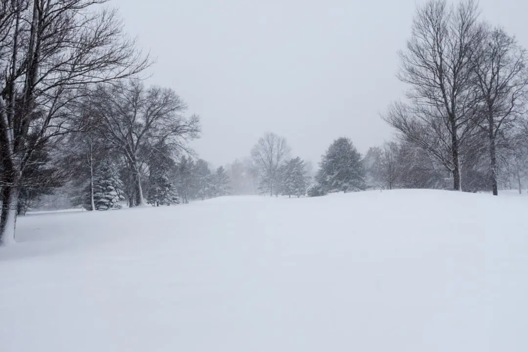 Neve