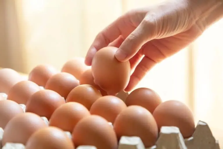 Ovos